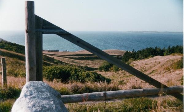 Aarhus stjerne piger verdens mindste bryster Aarhus stjerne piger verdens mindste bryster