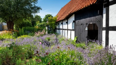 Museumsgård feature