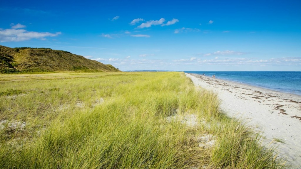 Stranden_Fotograf_Jeanette_Philipsen_Pressefoto_VisitSamsø_12 (1)