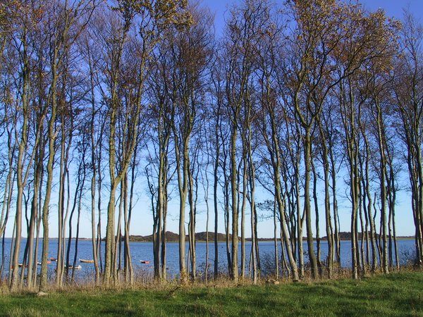 1-Stavns - Fjorden - Sen efterår