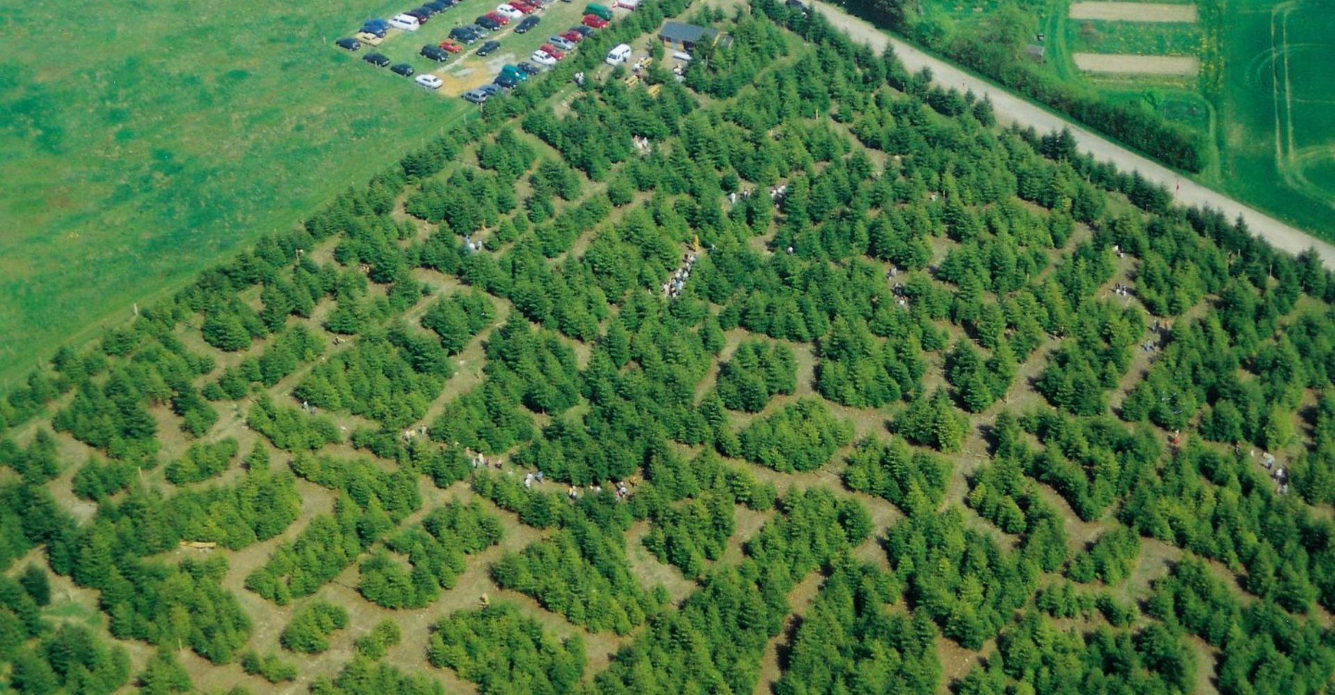 samsø labyrinten grupper firmatur