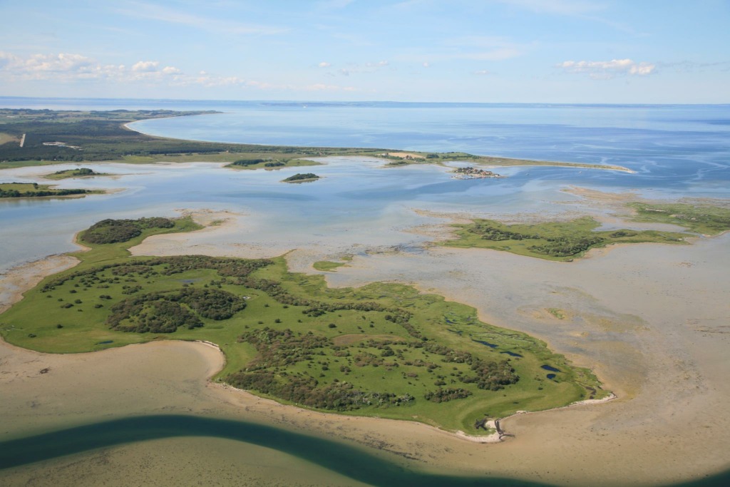 Langøre fra luften