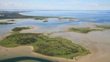 Langøre fra luften