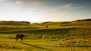 Nordby Bakker_Fotograf_Jeanette_Philipsen_Pressefoto_VisitSamsø_5