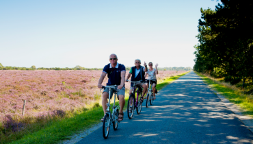 Cykel_familie_nordøen