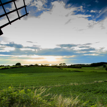 Business Region Aarhus - Natur 2