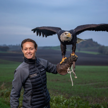 Falkecenter Samsø - Kom tæt på naturen