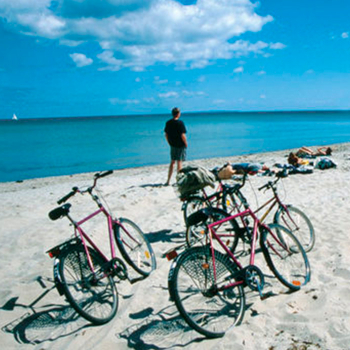 Cykelferie-den-grønne-cykelrute-Samsø
