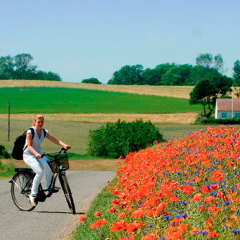 Cykeltur på Sydøen - Samsø