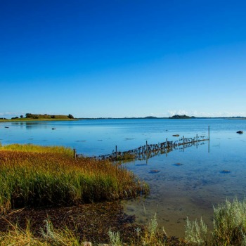 Naturspots på Samsø - Stauns fjord