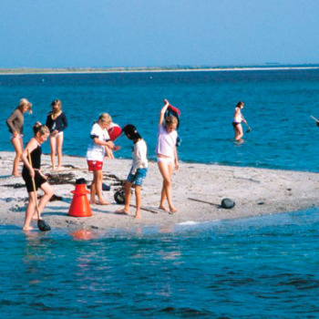 Samsø naturskole ved vandet