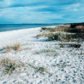 Samsøs strande - Mårup Østerstrand