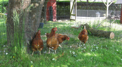 MårupBB3