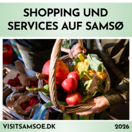 Shopping og Service 2026 2.5 DE Forside