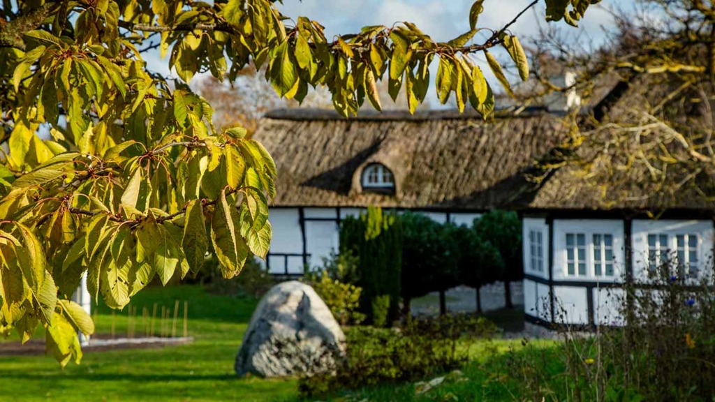 Brundby Samsø - Bindingsværksgård og kirsebærtræ