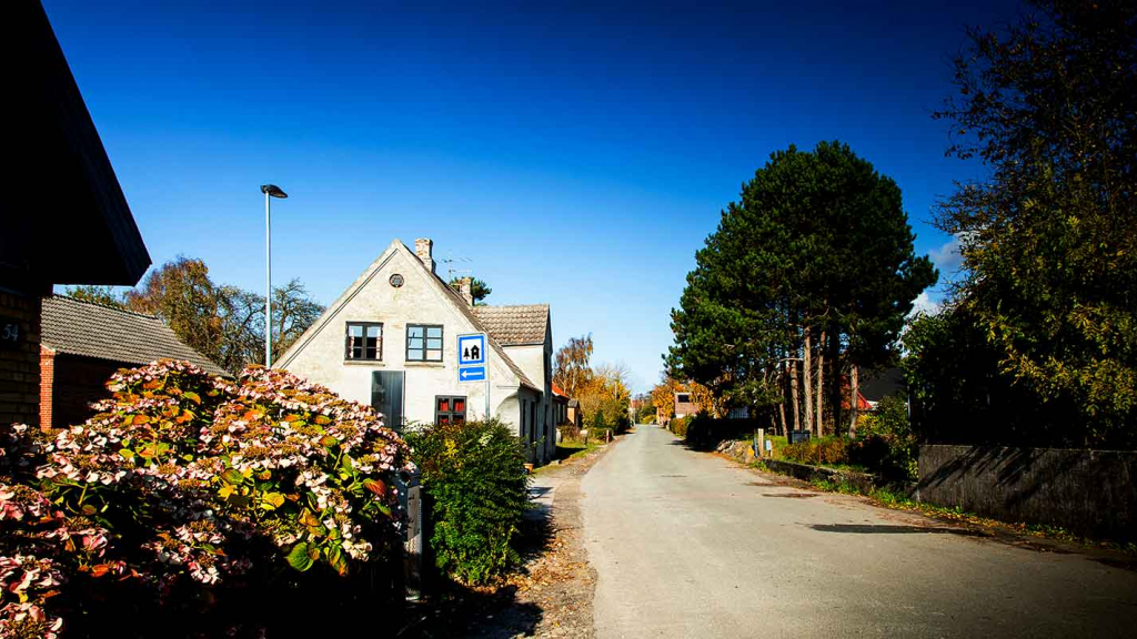 Kolby Samsø hortensia og landsbyidyl