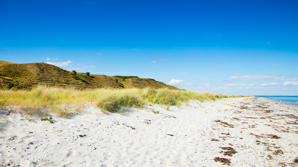 Natur_strand