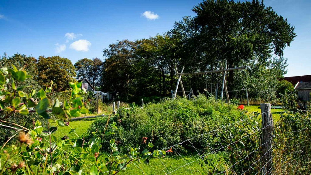 Toftebjerg Samsø naturlig have