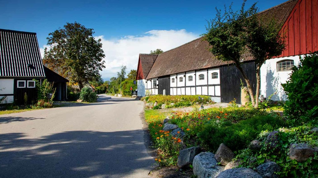 Toftebjerg Samsø samsø lam gårdbutik