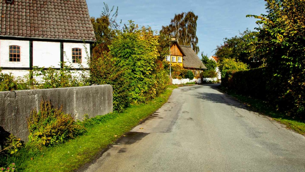 Blomster ved vejen på Egevej i Østerby på Samsø