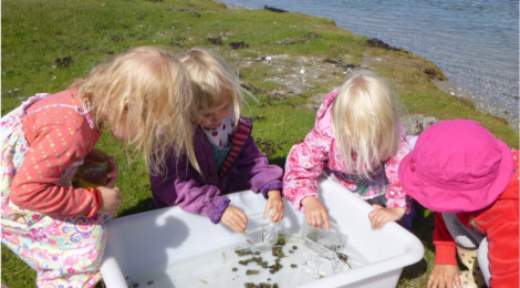 Samsø Naturskole  (4)