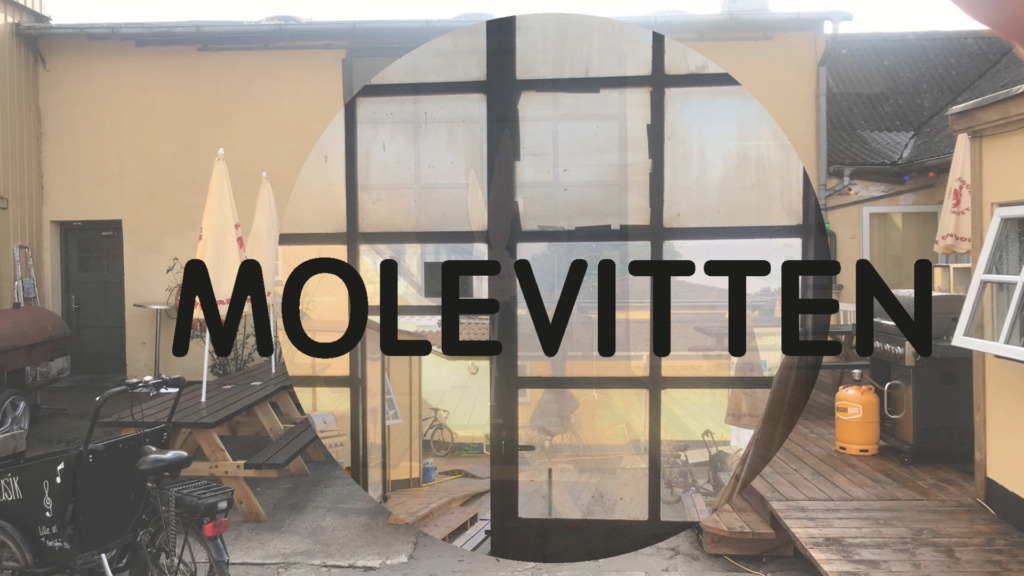 Molevitten logo
