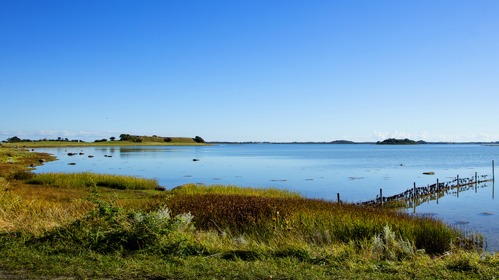 Stavns Fjord