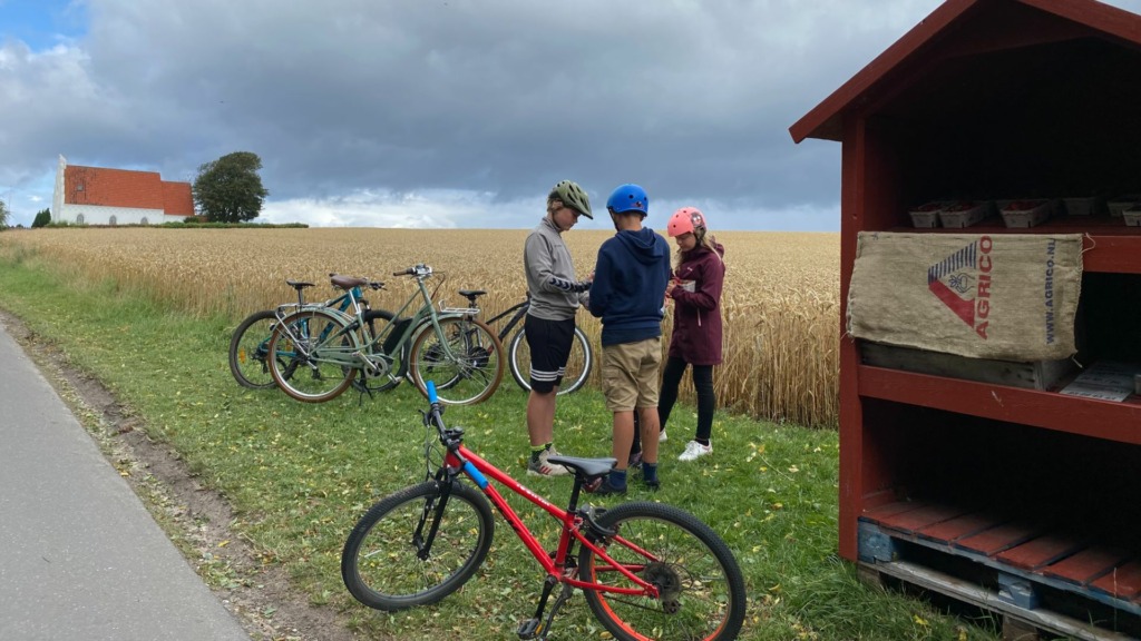 slå forsøg rutine Sensory, beautiful Samsø | VisitSamsoe.dk