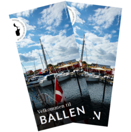 ballen_forside_magasindownload