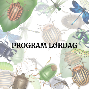 detvildesamsø_program_lørdag_web-ill