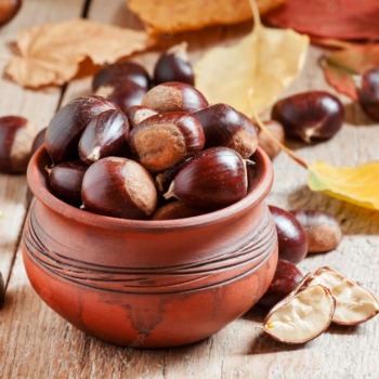 edible-chestnut-harvest-clay-pot-autumn-with-fallen-leaves-background-selective-focus_630207-4540