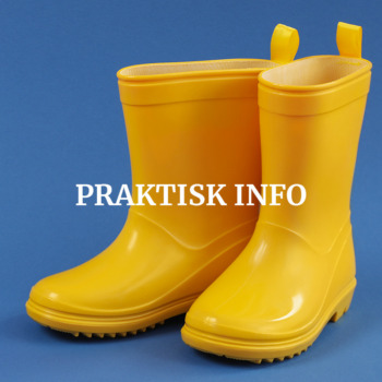 detvildesamsø_praktisk_info_web-ill
