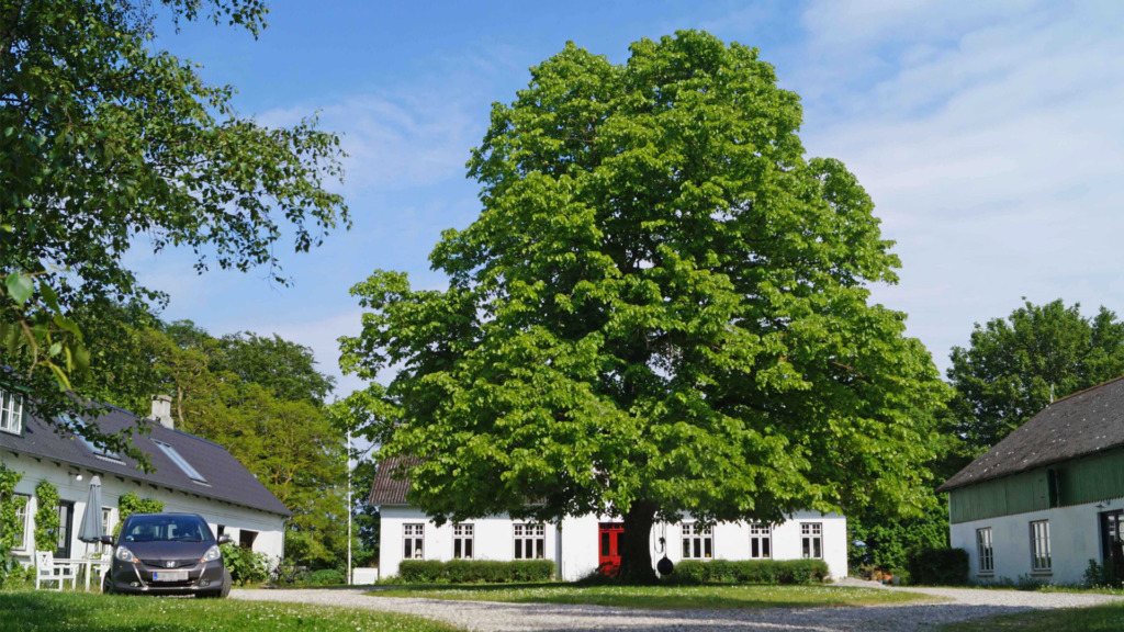 Agerupgård B&B - 1