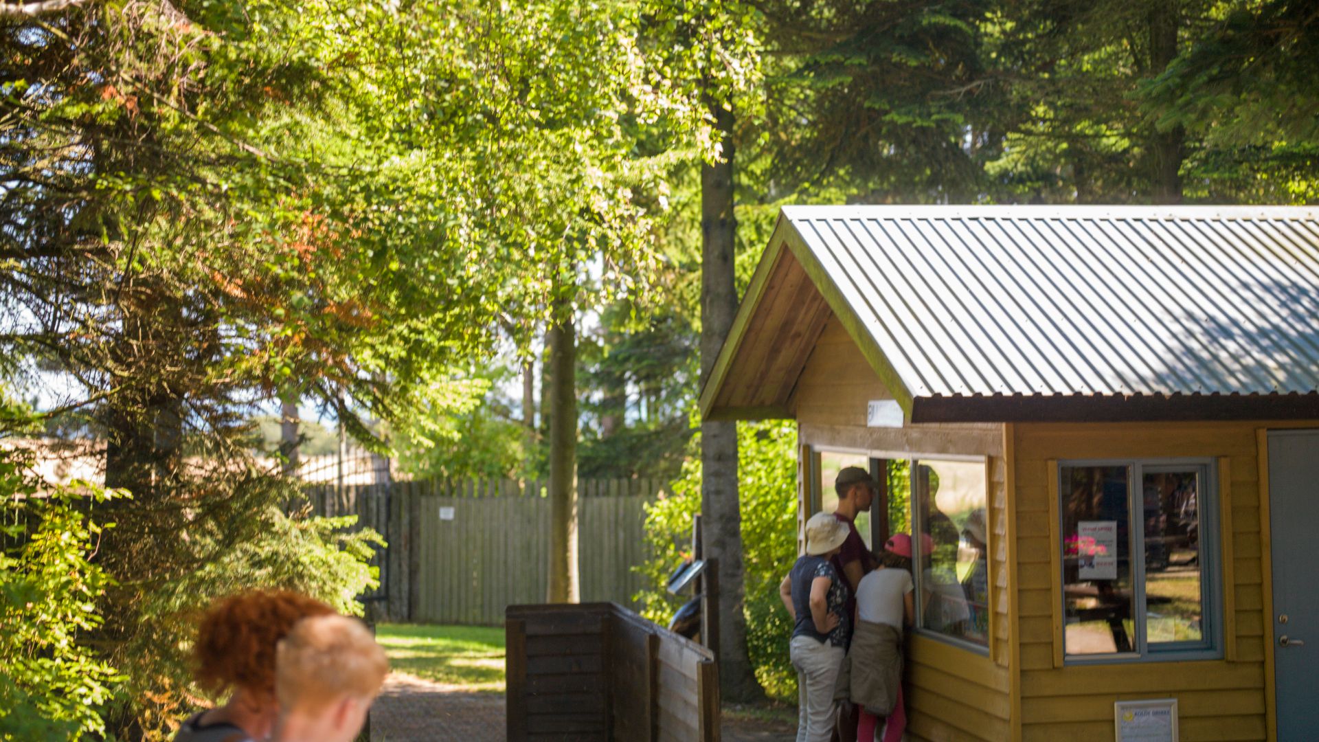 Samsø Labyrinten - verdens største labyrint | visitsamsoe.dk
