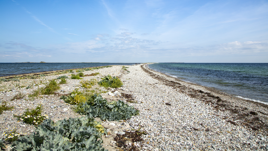 Besser Rev_Fotograf_Jeanette_Philipsen_Pressefoto_VisitSamsø_3