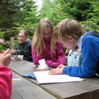 Labyrinten_lejrskole2a