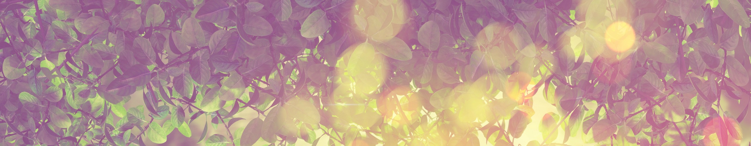 3D leaves and sunlight with retro effect