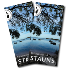 Stauns_forside_magasindownload