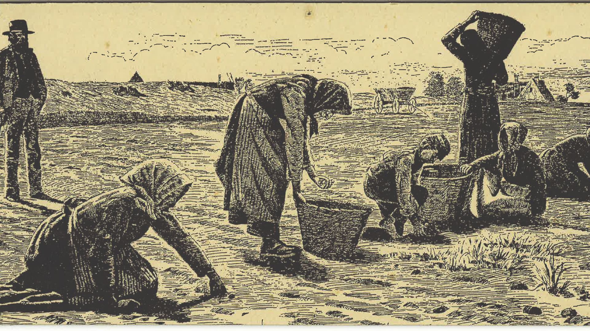 Sam Erbe Samsøs kulinarisches Erbe | VisitSamsoe.dk