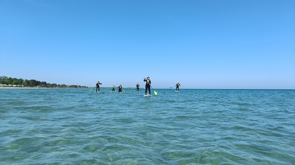 Samsurf