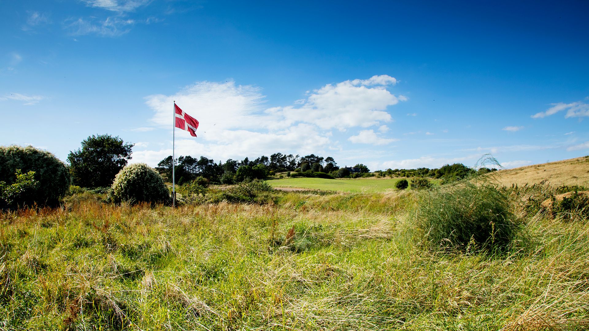 Jeanette_2016_Fotograf_Jeanette_Phillipsen_VisitSamsø129
