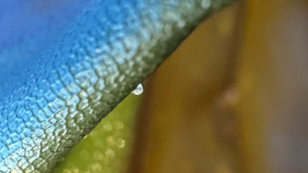 Unika Fotokunst billede 3