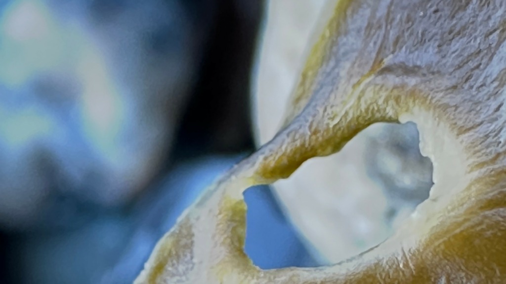 Unika Fotokunst billede 5