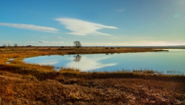 SMF-Bog-6755 a-1-Lilleør-Bog