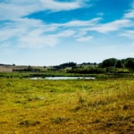 natur_2016_Fotograf_Jeanette_Phillipsen_VisitSamsø125