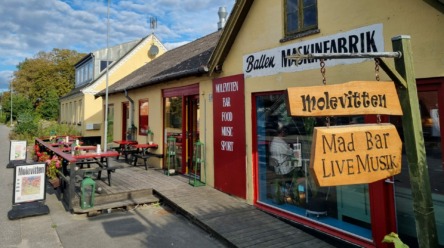 Til hjemmeside (1)
