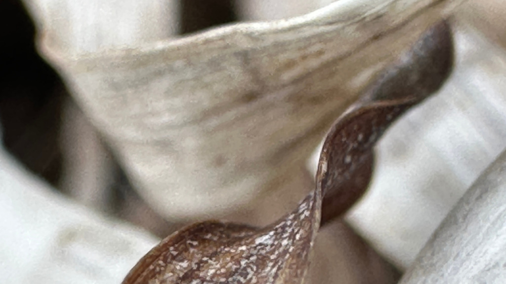 Galleri-unika-fotokunst-samsoe  2 - Visit Samsø