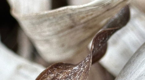 Galleri-unika-fotokunst-samsoe  2 - Visit Samsø