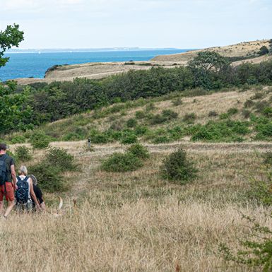 Bjørn_Bæk_VisitSamsø_kvadrat_web_385_385_2026_0012